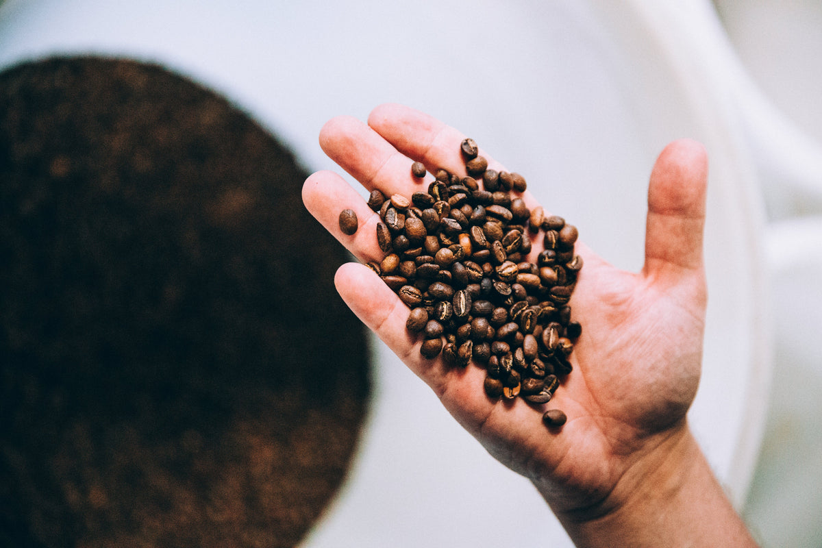 Les 4 ennemis du café (et quoi faire pour les éviter)