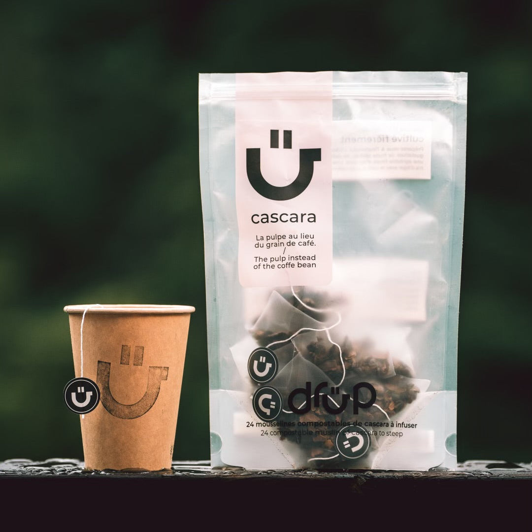 Cascara – Infusion de cerise de café 24 sachets